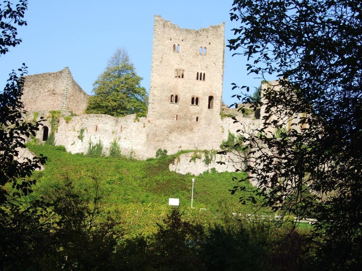 Ferienhaus Mayer In Der Sonnigen Ortenau Oberkirch  Exterior photo